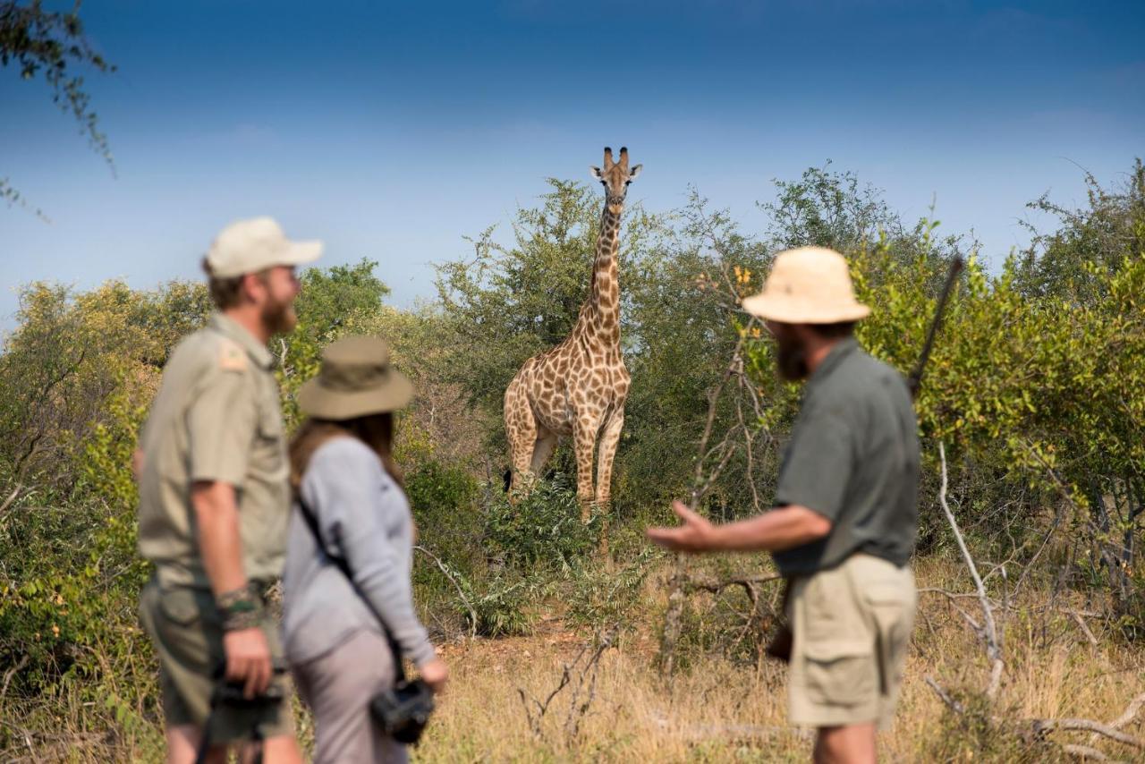 Makumu Private Game Lodge Klaserie Private Nature Reserve