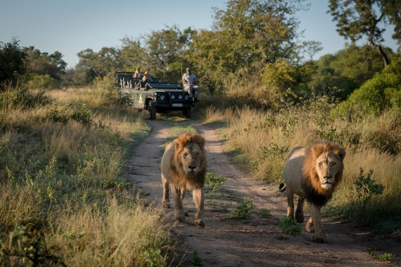 Lodge Makumu Private Game *